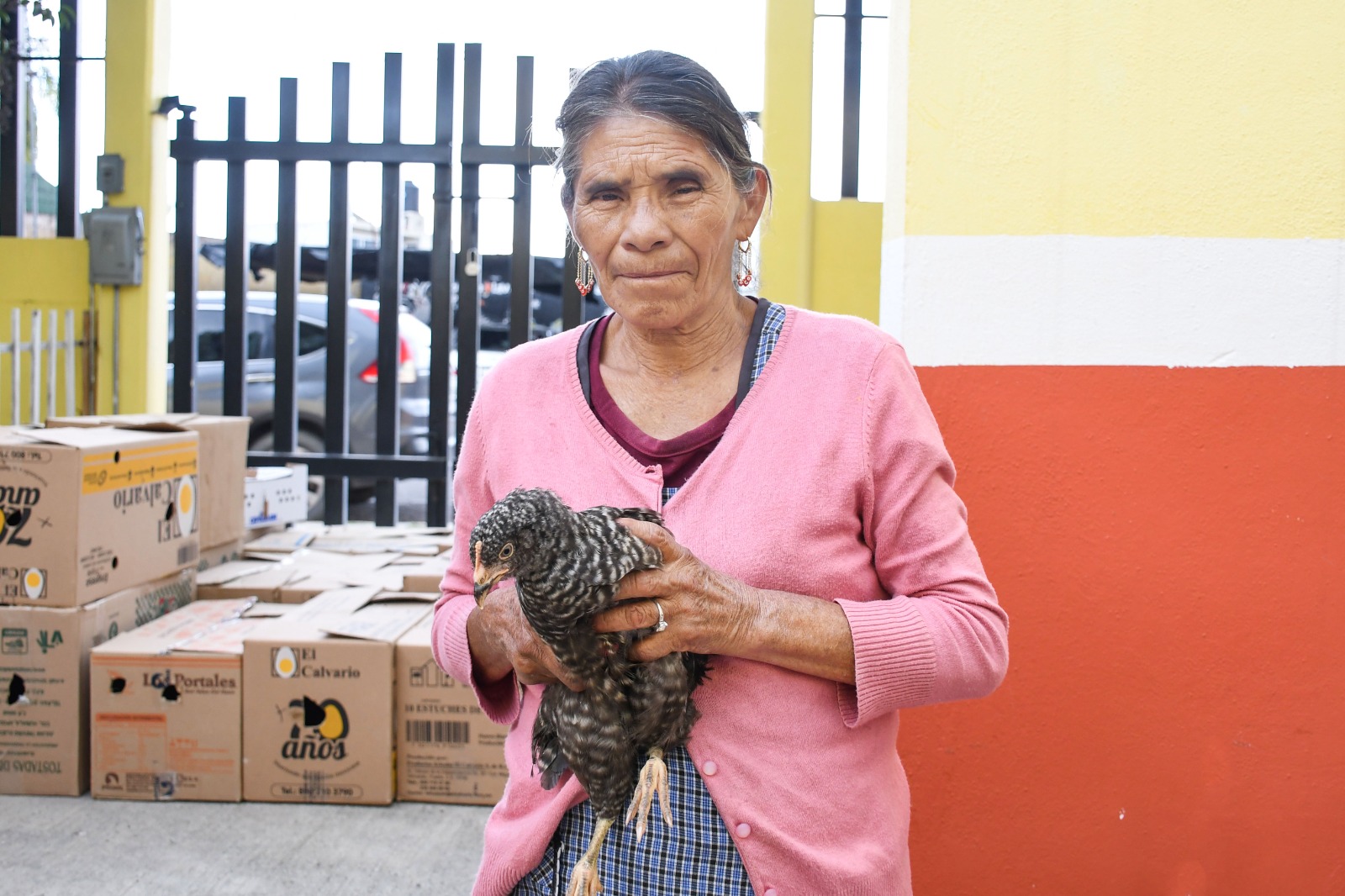 Con esfuerzo coordinado entre gobiernos, reciben familias de Huamantla paquetes de especies menores